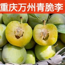 �ؑc�����t�������Ó�����߅�t������P�����´�ˮ������