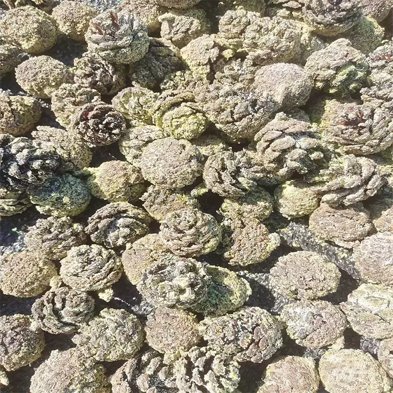 Color Changing Pine cones圣诞礼物彩色火焰松球着色剂松球80粒