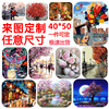wholesale One piece customized number Oil Painting comic Cartoon Oil Painting lovers diy Digital painting customized