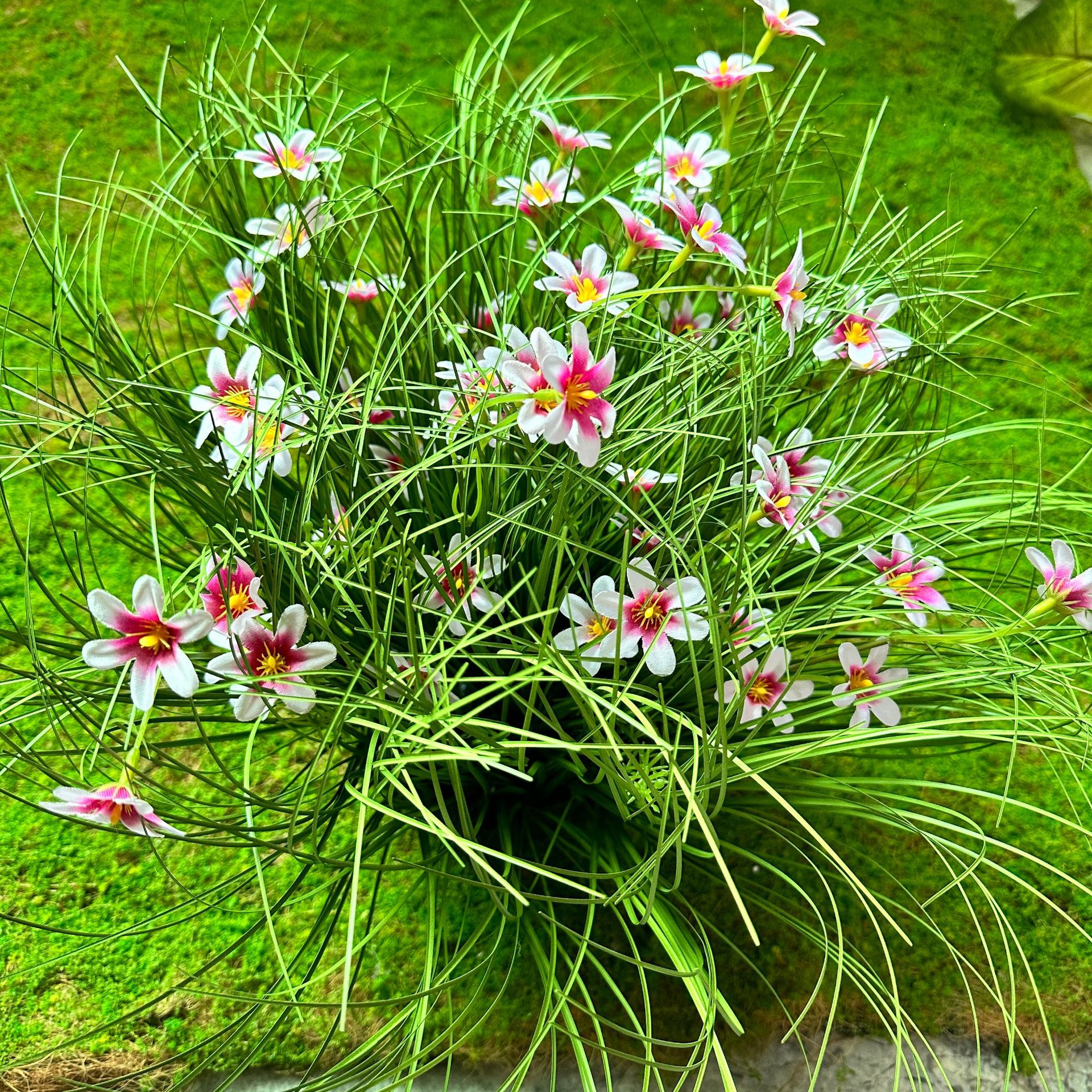 Grupo de flores silvestres púrpura (40cm de altura, 40cm de diámetro)