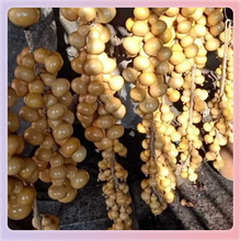 ?���J�Nֲ���J4��6����ͨ؛���N�Π���Ӷร���������ͥ�b�