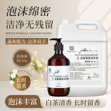 �ߙn�Ƶ�ײ���ϴ��Һ500ml����������ƿ�b����坍�e�^�������l