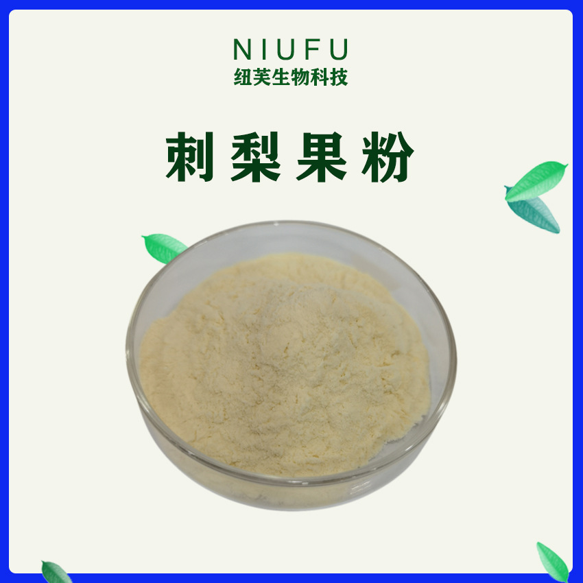 刺梨果粉1kg 水溶性刺梨粉固体饮料原料