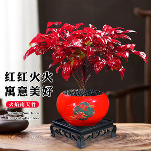���Զ����ͺ��t�~�Gֲ�҃���͏d�̨�ļ����Bֲ���辰