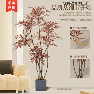 7601���ղ����������Gֲ�tɫ�߶��p���҃ȿ͏d����������ؔ[