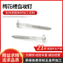 厂家直供不锈钢桁架晶圆头梅花槽刨花板钉草绳钉扁头梅花槽自攻钉