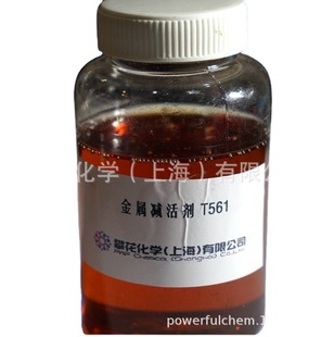 ���ٜp��g������T561 ����������� ���P ������׽