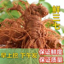 ���r������ɽ�������������������߻�����С偾ƬF�ڬF�l��հ��b