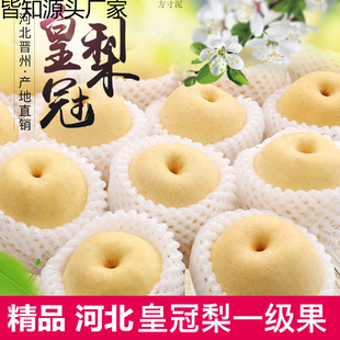 �ӱ��ʹ���10���������rˮ������5�ﮔ��ѩ��3��ǴXɽ��������l