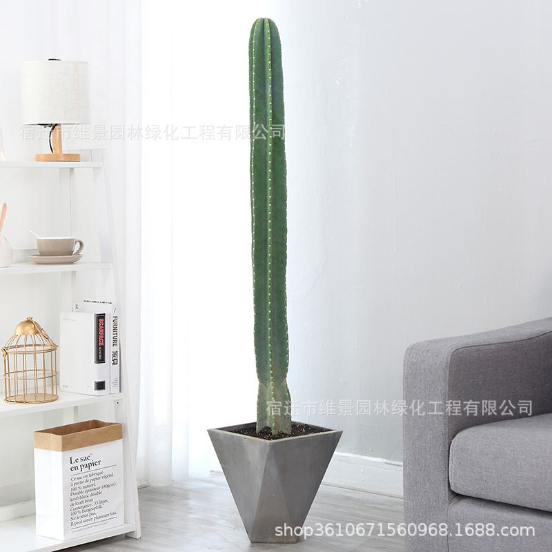 仙人柱量天尺盆栽北欧风室内大型客厅好养多肉植物无刺仙人掌绿植-阿里巴巴