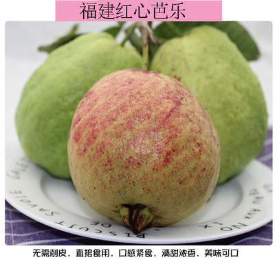 福建漳州紅心白心芭樂帶箱5斤裝當季新鮮水果