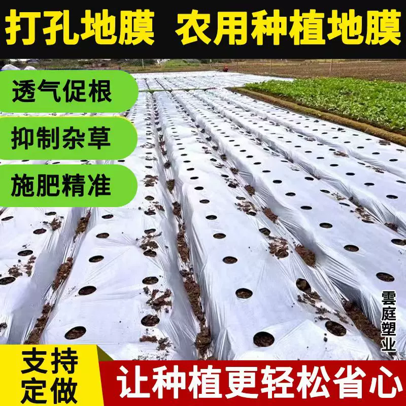 农用打孔地膜银黑双色打孔地膜打孔黑色地膜打孔种植地膜支持定做