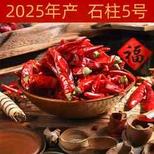 �F؛��ʯ���t5̖������ С�������خa�F��ʯ���t���콷����������