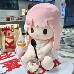 奇跡のナノン周辺人形 座高40cm ナノンコットンドール 二次元一番賞人形 ガールズハートギフト