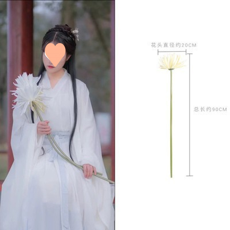 One white epiphyllum-0x0cm