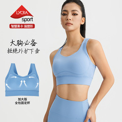 2025 春夏の新ヨガウェア女性のためのライクラ高弾性高強度スポーツブラオールインクルーシブ固定カップスポーツバック
