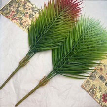 9�^����~50cm����ɢβ��ᘿ��~�٘��~������~��c�����F���~��