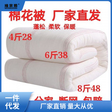棉花被芯冬被棉被棉絮被春秋被垫被褥子冬被直发包用三年首单立减