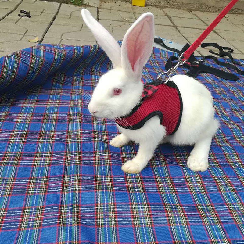 He4d9bcedcf18403f914aaa4ce6be3