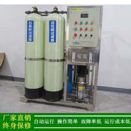 供应0.5t/h全自动反渗透RO机浙江宁波工业纯水处理设备涂装设备用