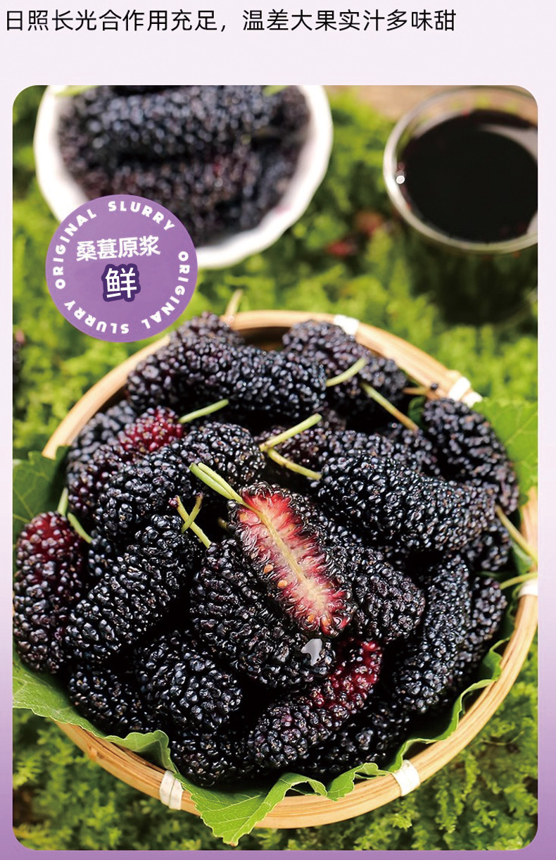 Mulberry Juice Concentrate Sang Shen Zhi Daily Drink 300ml Boxed No Added Water overview
