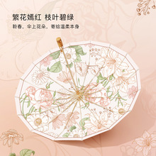 定制LOGO高颜值16骨雨伞彩胶晴雨两用女遮阳防晒伞太阳伞一件代发