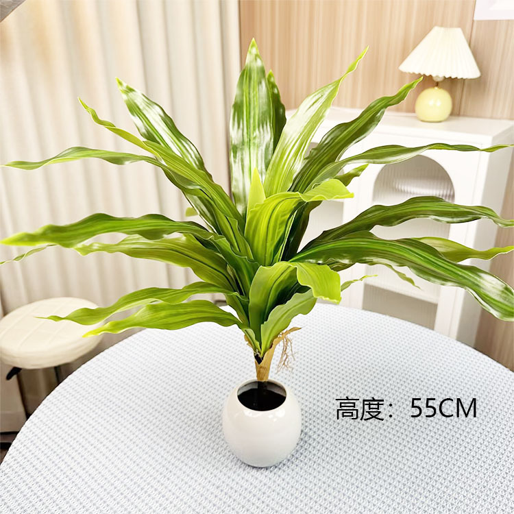 Madera brasileña de alta calidad 55CM verde con base negra