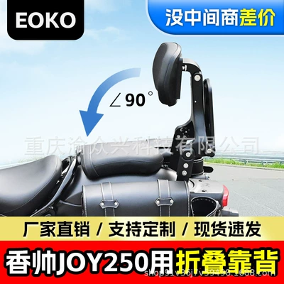 250 Folding Backrest Driver Motorcycle tail