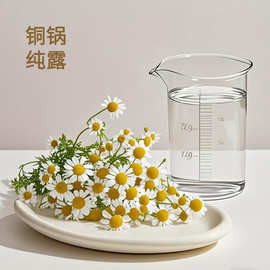 罗马洋甘菊纯露 蒸馏工厂直销不提油洋甘菊花水原料 饱和罗甘纯露