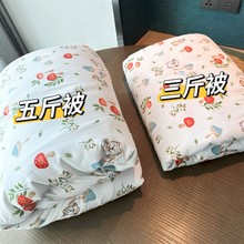 飞日本日系高端三斤五斤被床上用品桑蚕丝+木棉被子空调被春夏被