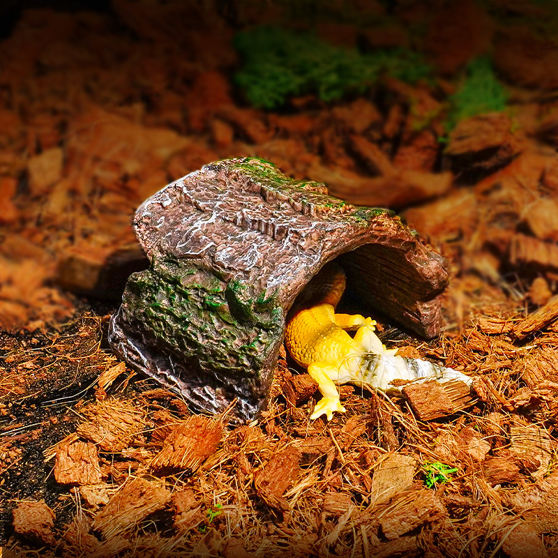 Araña Escorpión Shougong Lagarto Tortuga Árbol Cueva Nido Casa de refugio Cueva Reptil Caja de cría Escenario