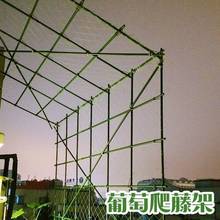 �������ͥԺ�����F��ɏ�S���ӷN�˰�����������ټ����Ѽ�������