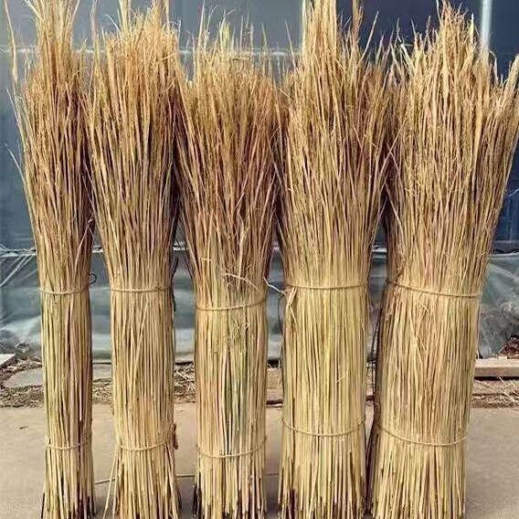 Straw farmhouse decor: soft, warm, decorative straw for thatched houses, natural fresh dried straw Straw farmhouse decor: soft, warm, decorative straw for thatched houses, natural fresh dried straw