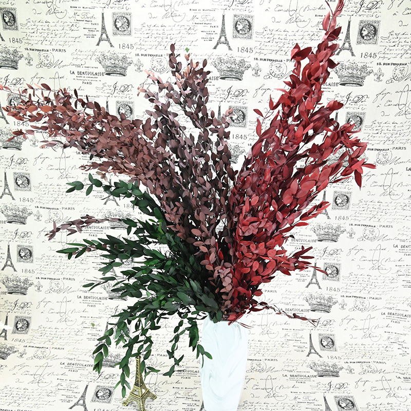 幻花永生花美葉桉100克/束手工禮物手工配材幹花批發地攤貨源