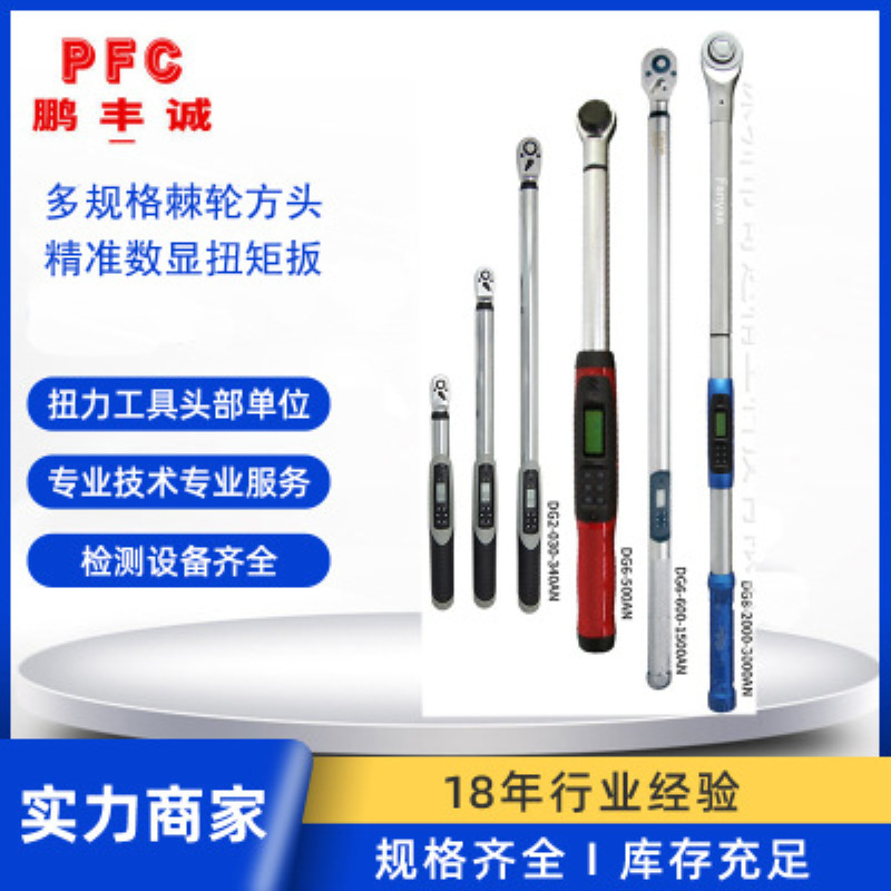 现货批发Fanyaa台湾DG系列3-3000N.m精度高棘轮数显 扭距扭力扳手
