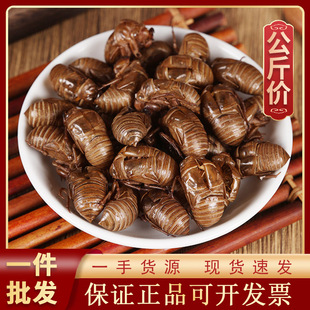 1000g�s͑��ș�ĬF؛���l������؛Դ�^�S��һ��؛Դ��ș�� ���s��