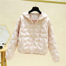 pqŮ̿С¿Bñ¿qů@