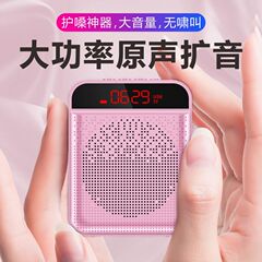 Bluetooth Mini Bee Portable Speaker Teacher User Outdoor Teaching Microphone Headset Tour Guide Street Amplifier