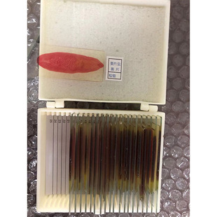 ţ���d�x�й� ΢�z�� �ܽM�����װ� �wë�x ԭ�x �h�x ���x ���x