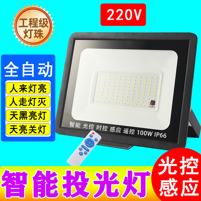 Luz de inundación controlada por luz con luz de inducción led luz de jardín de la comunidad farola al aire libre luz impermeable al aire libre luz de luz oscura de 220V