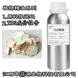 供应CO2/蒸馏白芷精油，白芷油用于芳疗护肤按摩SPA