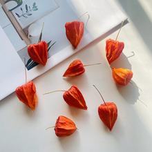 {DIYֹϰֲ\tӌҾb[