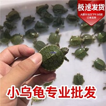 �������x�䡿�������������С�����^�p������ˮ���t������H��