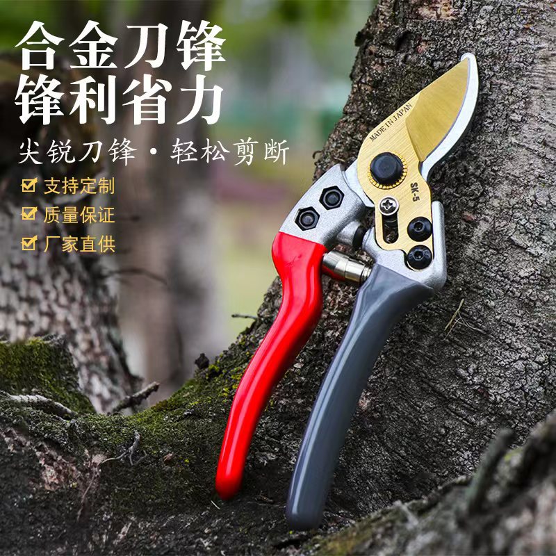园艺剪刀枝剪果树剪子修剪树枝强力修花剪园艺园林修枝剪厂家直供