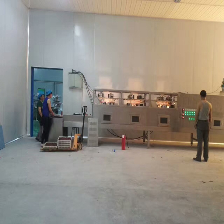 厂家供应卤鸭子/扒鸡/猪耳朵脱油脂微波低温消毒灭菌设备