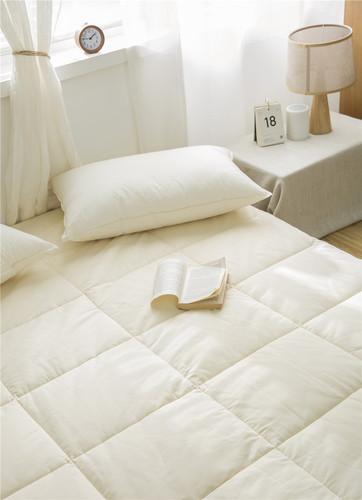 Simple checkered solid color cotton mattress winter thickened warm mattress pure cotton tatami mat quilt anti-slip