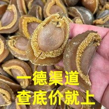 �S�����l��ζ��؛15-16�^��ɴ����߅�ϷǼ�Ʒ�U�~�ƘǾƵꌣ��