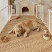 TEMU���N���s��ɫ���鲤�}Ȧ��̺�߶����P�T�|���ɳ�l��ĥ�؉|