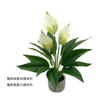 羳Ƽt3DӡһL컨[Ҿb