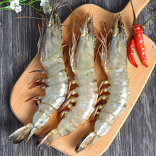 �O����~ �ڻ��r�r���������16cm����15ֻ�ك��߹����rԽ�ϻ��r